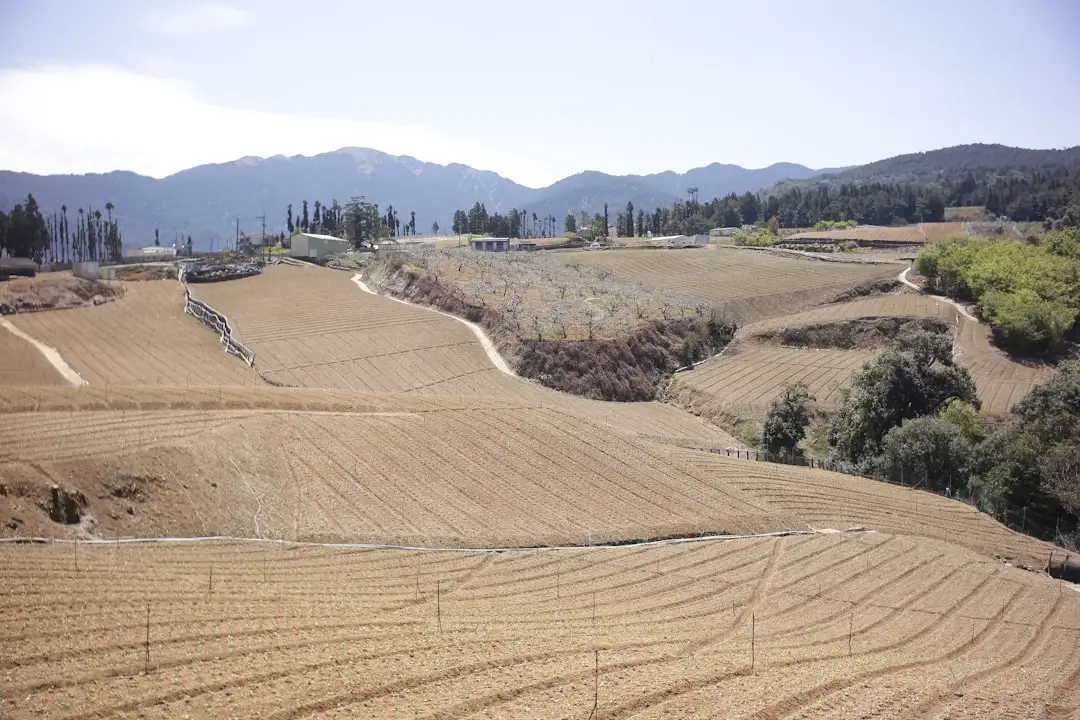深圳实业投资与企业运营管理服务模式解析