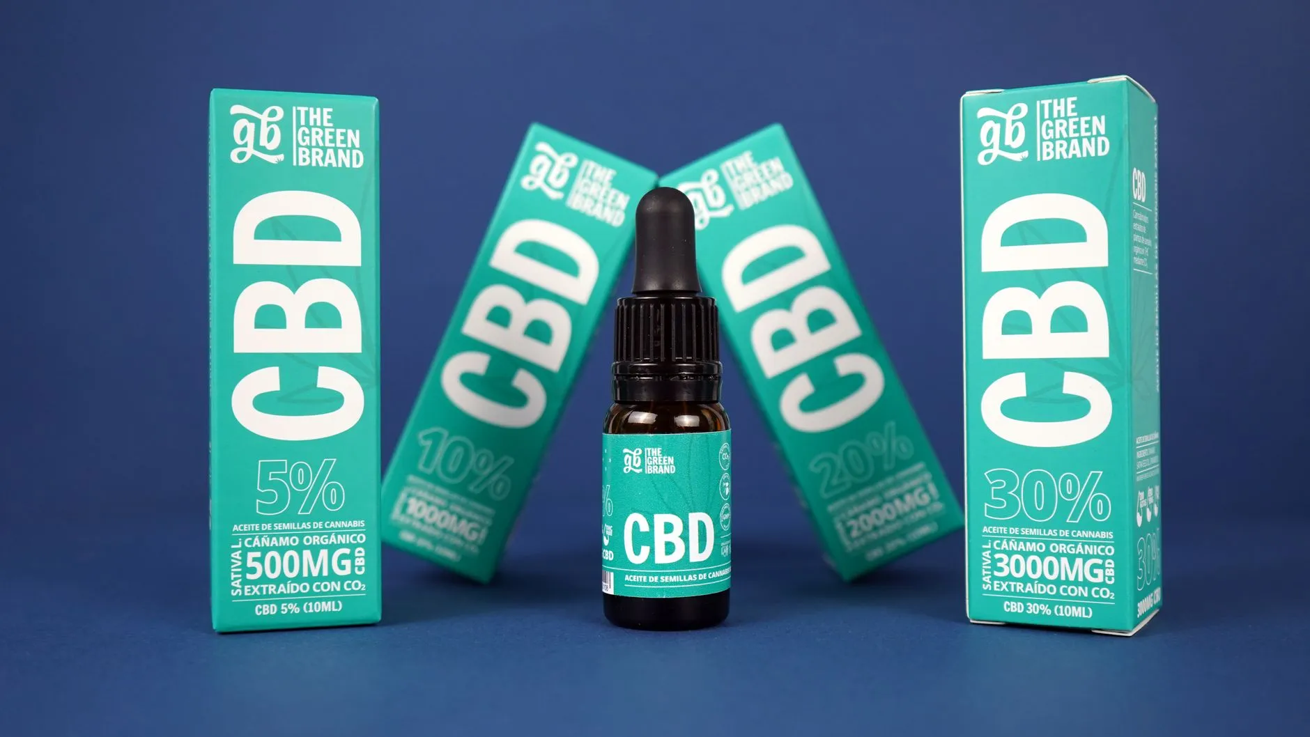 产业投资视角下深圳实业企业运营管理赋能模式解析